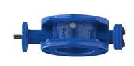 EPDM Seal Ductile Iron Double Eccentric Butterfly Valve BS หรือมาตรฐาน Ansi