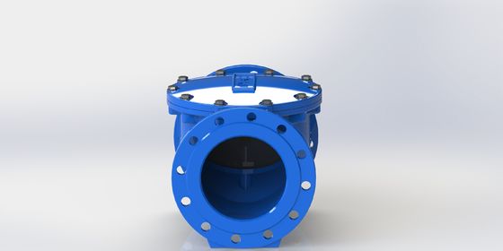EPDM Seal Swing Flex Check Valve ด้วยขนาด DN50-700 และการเชื่อมต่อ Flange PN10/PN16